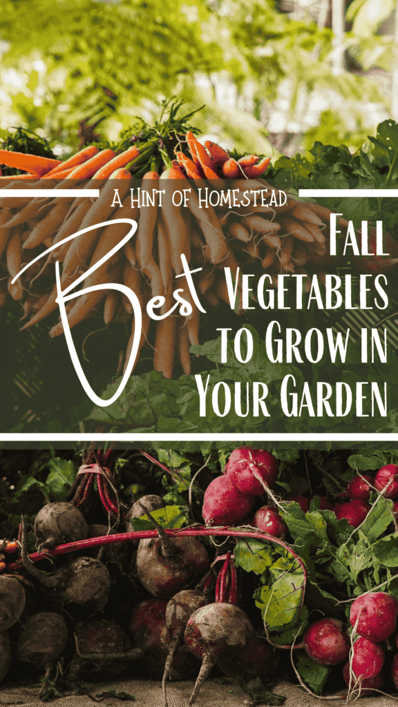 Best fall vegetables to grow in your garden pinterest image
