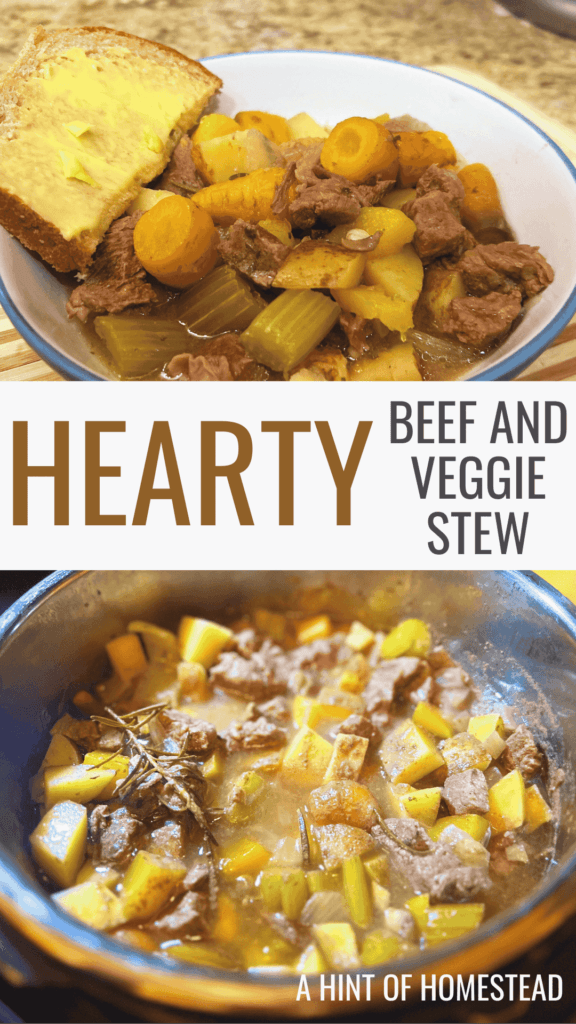 Hearty Beef and Veggie Stew Pinterest Image