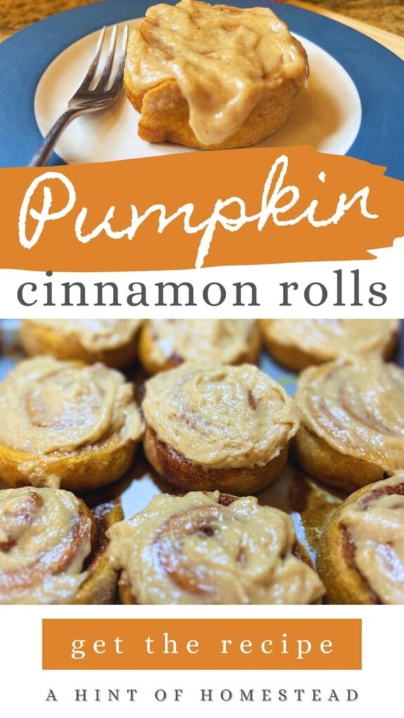 Pumpkin Cinnamon Rolls Pinterest Image