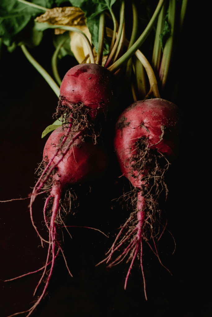 fall garden beets