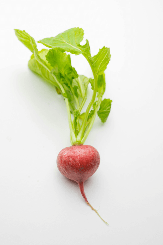 a pink radish