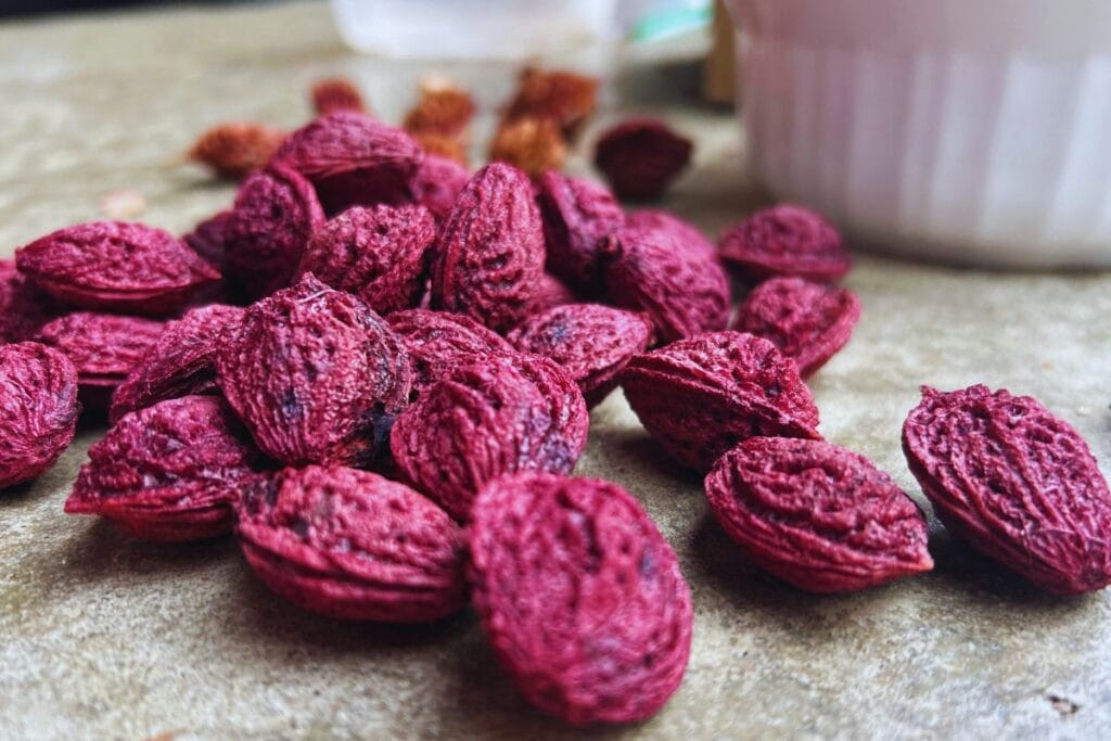 closeup of peach pits