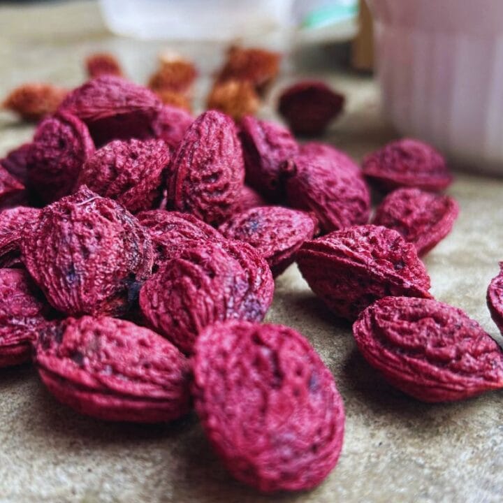 closeup of peach pits