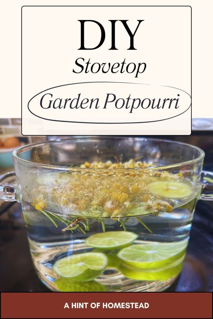 DIY stovetop garden potpourri Pinterest image