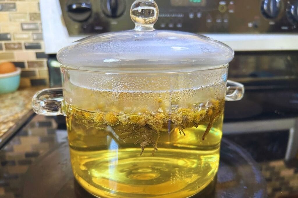 stovetop garden potpourri simmering in a glass pot