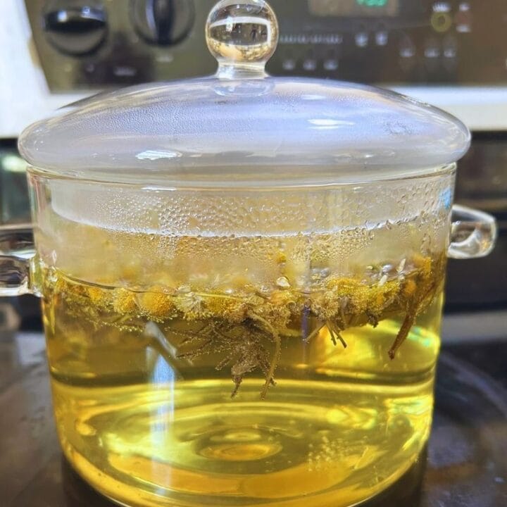 stovetop garden potpourri simmering in a glass pot
