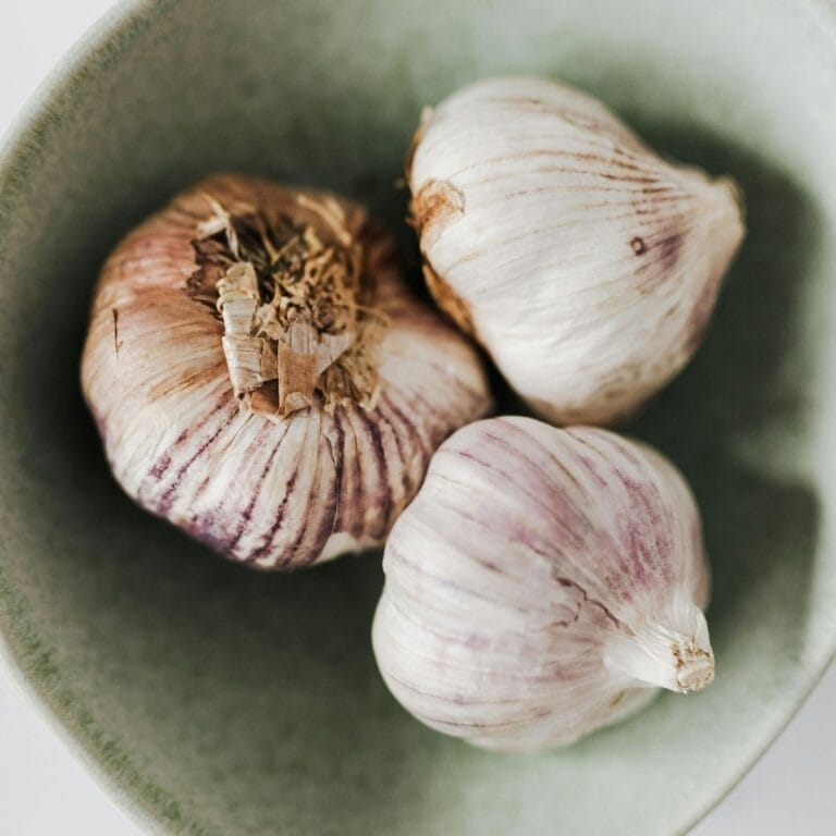 Garlic Bulbs Featured Image