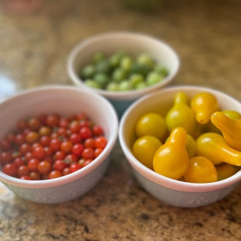 Miniature Vegetables Featured Image