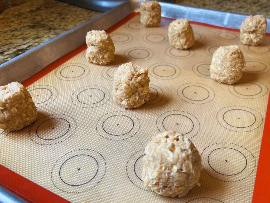 cylinders of sourdough oatmeal toffee cookie dough