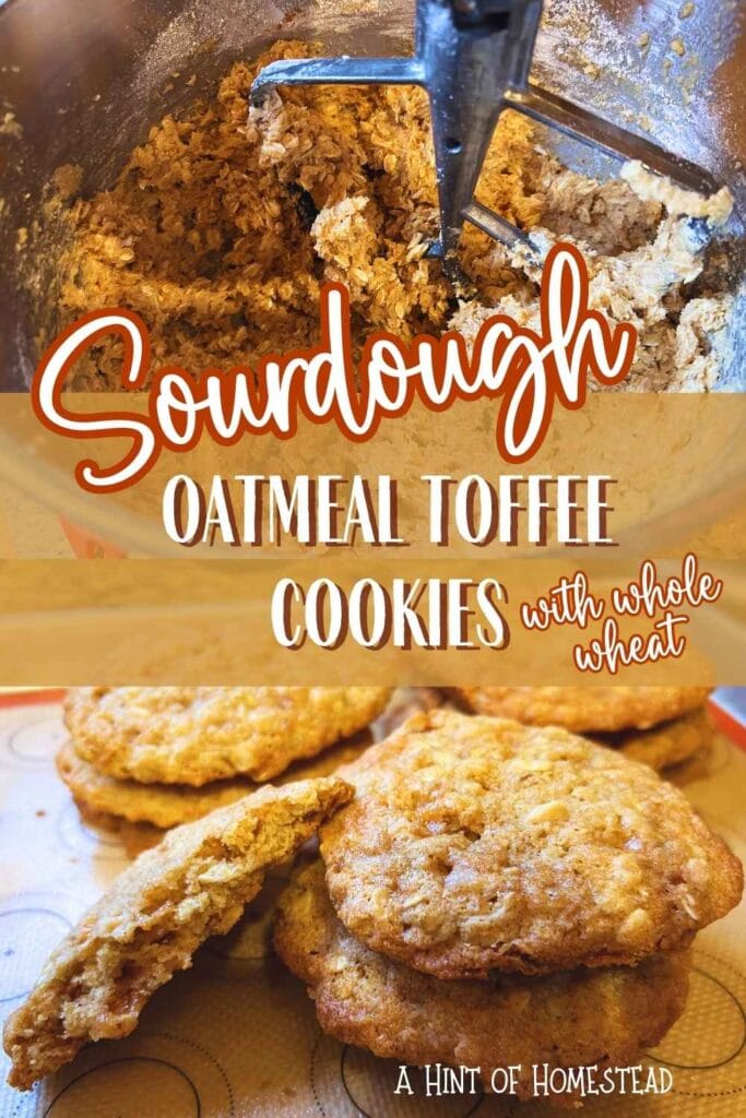 sourdough oatmeal toffee cookies pinterest image