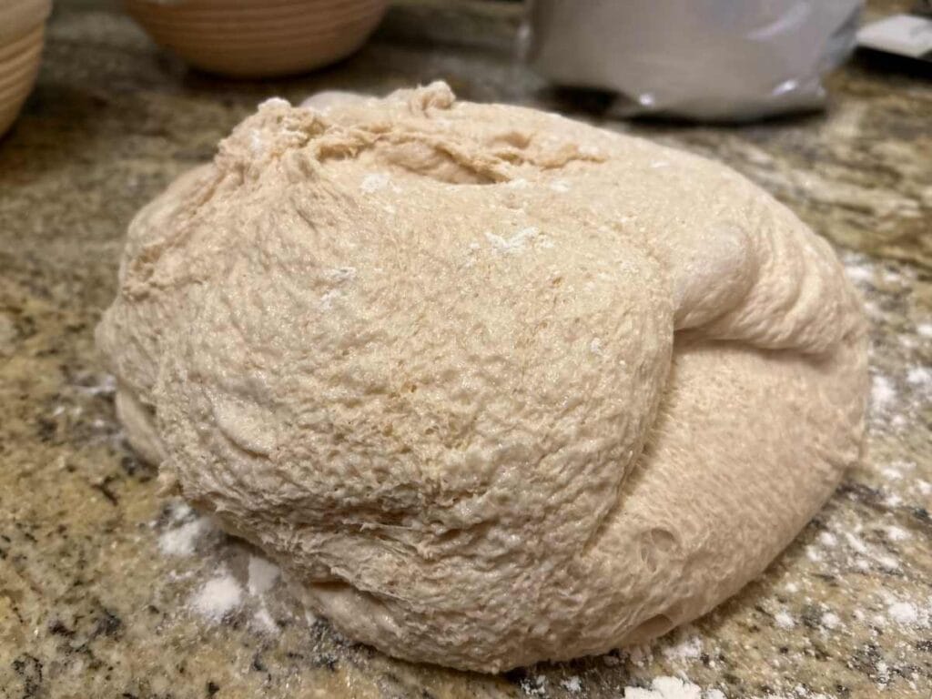 Half Whole Wheat Bread Dough dumped onto the counter