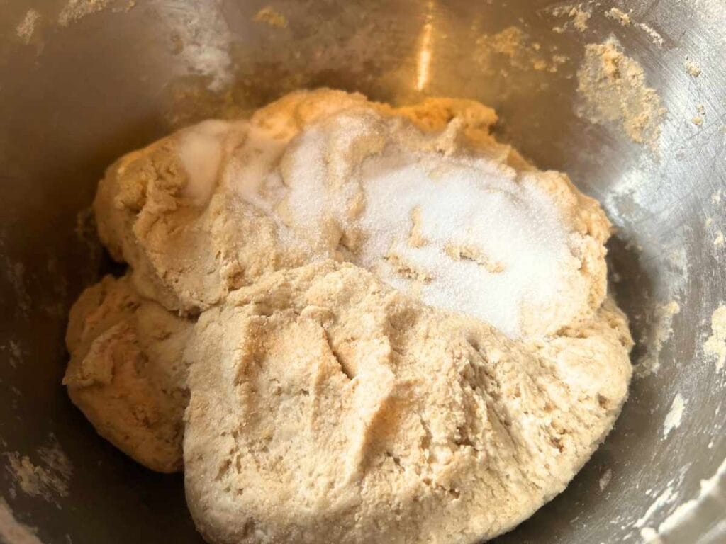 Half Whole Wheat dough with salt sprinkled on top