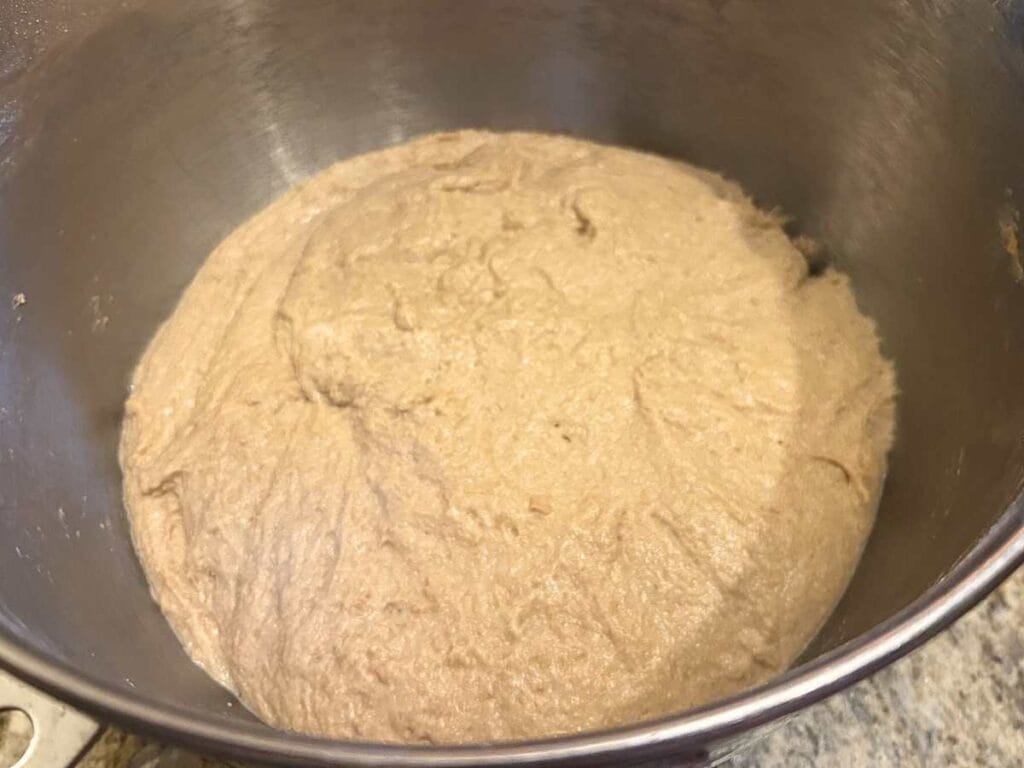 Risen Sourdough Soft Pretzel dough