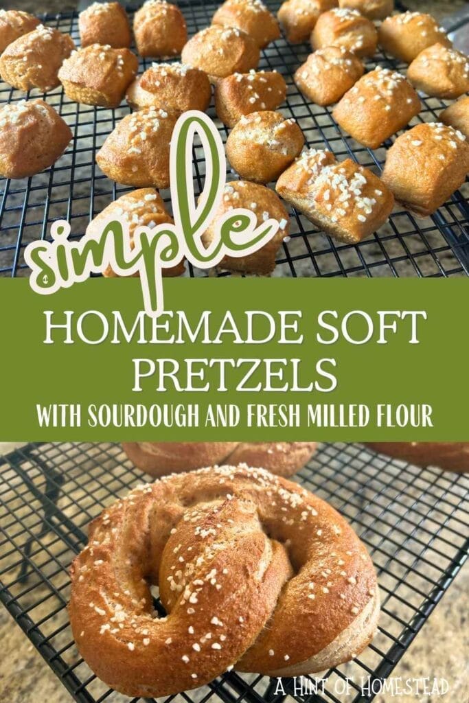 Sourdough Pretzel Bites Pinterest