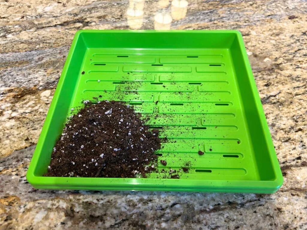 green microgreen growing container with a small pile of soil in it