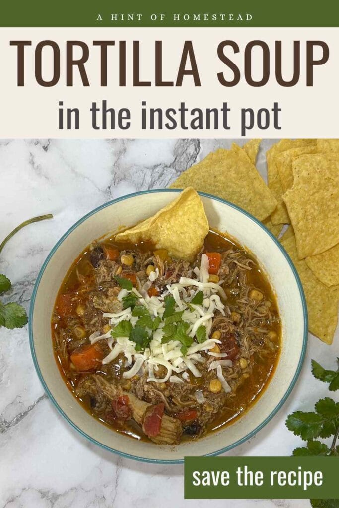 tortilla soup in the instant pot pinterest image