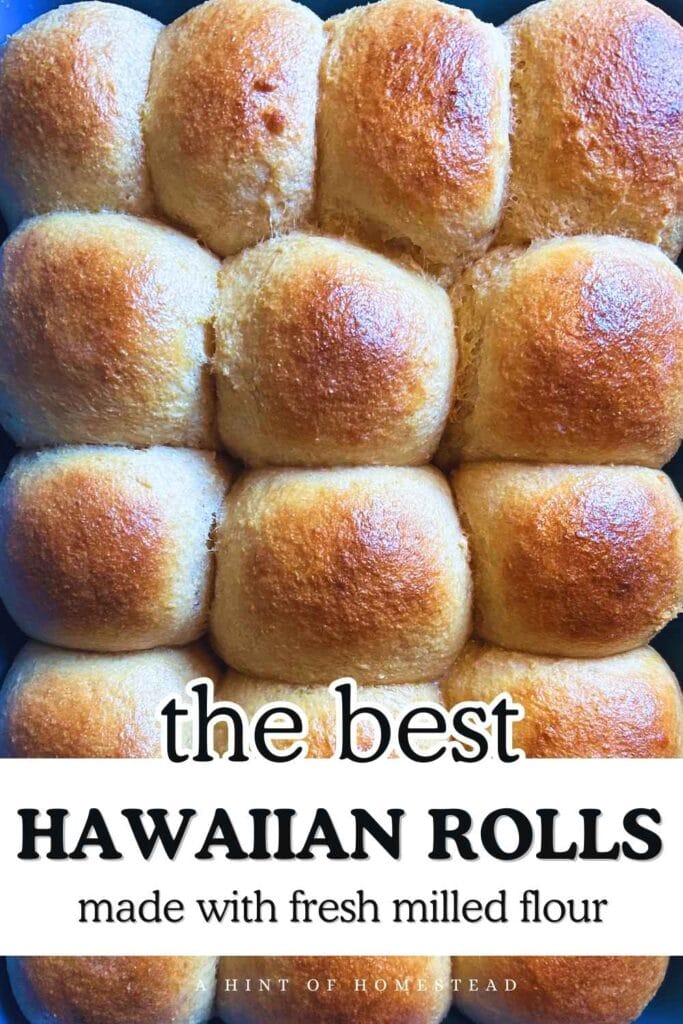 the best Hawaiian Rolls made with fresh milled flour pinterest image