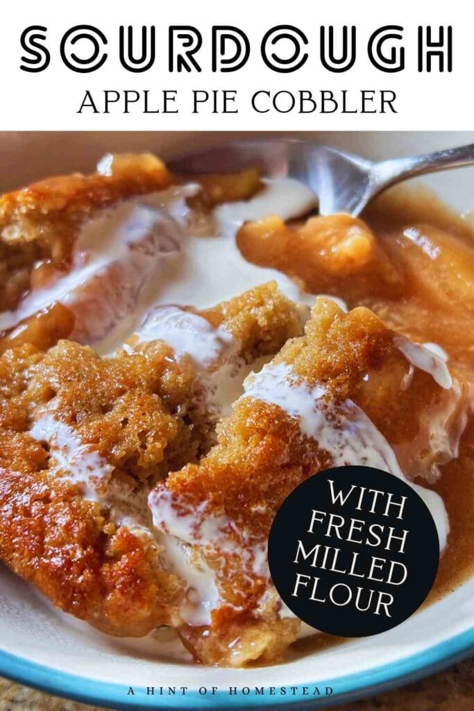sourdough apple pie cobbler pinterest image