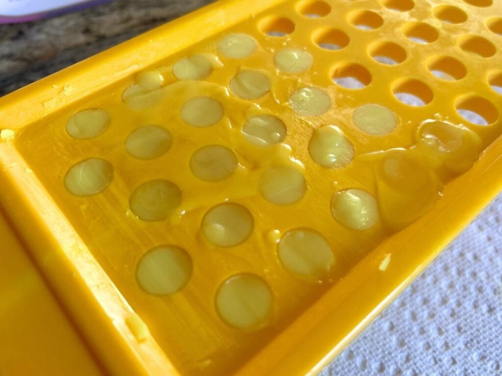 top view of citrus mint tallow lip balms after being poured into sticks