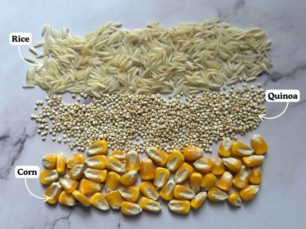 varieties of whole grains laid out in a line and labelled, includes corn, quinoa, and rice
