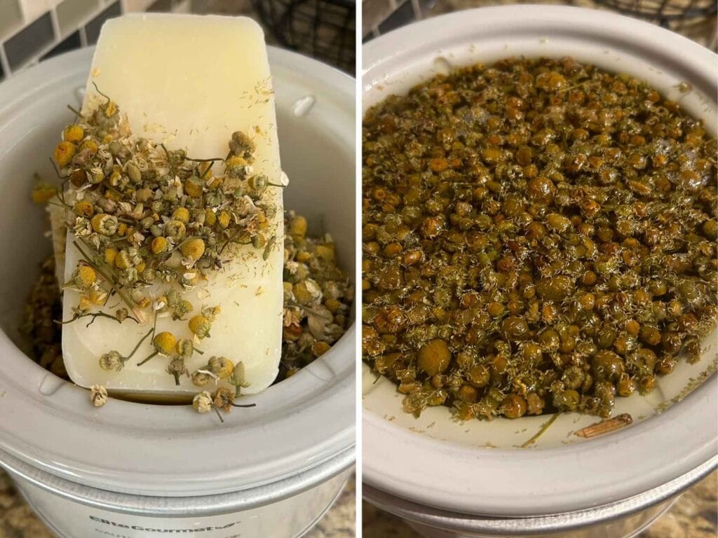 dried chamomile on top of a brick of tallow in a small white crockpot next to an image of the fat melted