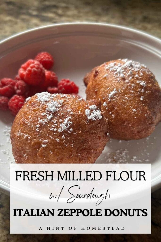 Italian Zeppole Donuts Pinterest image
