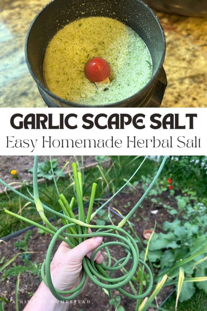 garlic scape salt pinterest image with picture of garlic scapes and the finished salt