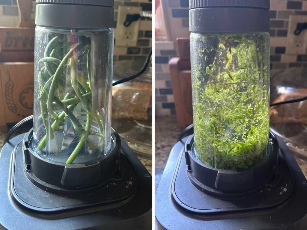 side by side images of garlic scapes before pulsing and after they've been chopped