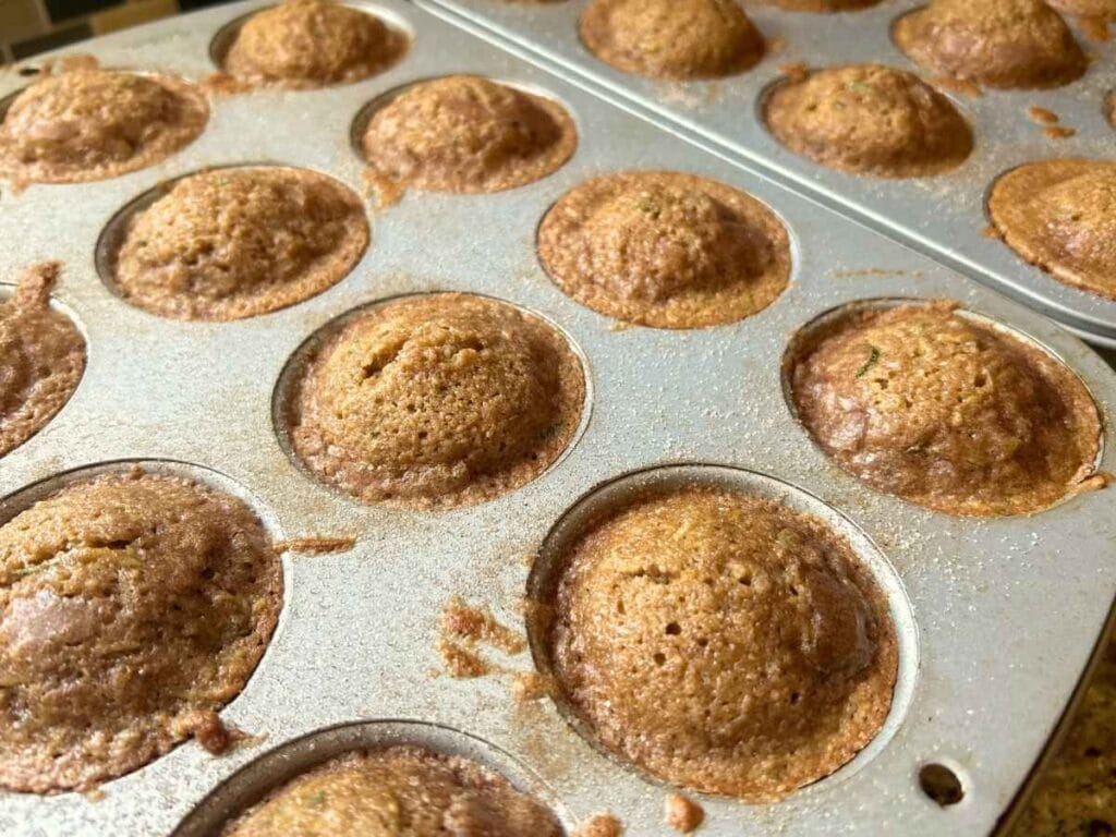 baked muffins still in the pan