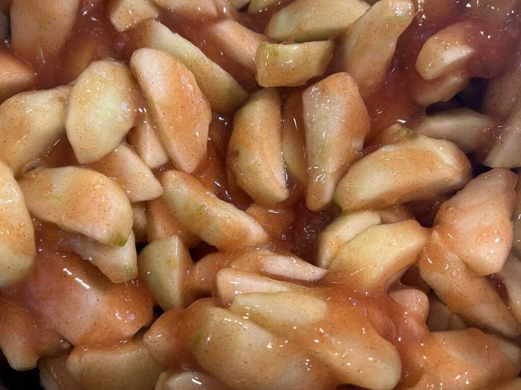 close up view of apple pie filling