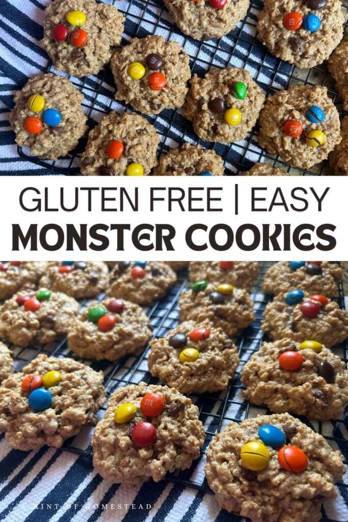 monster cookies: oatmeal chocolate chip cookies with m&ms on top cooling on a rack for pinterest image