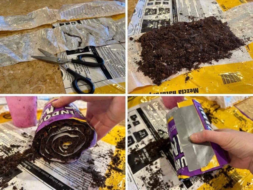 process of cutting, filling and rolling up a seed snail