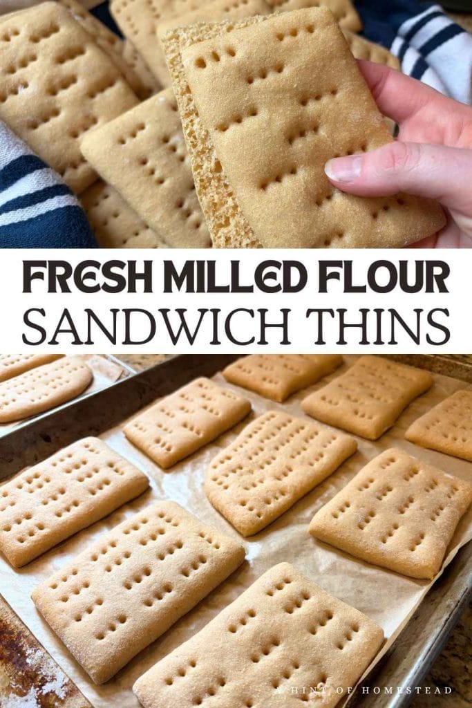 sandwich thins made with fresh milled flour Pinterest image